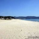 신지명사십리해수욕장 이미지