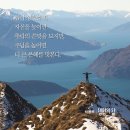 그늘과 빛의 기억  이미지