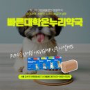 온누리대학약국 이미지