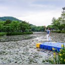 일랑일랑 이미지