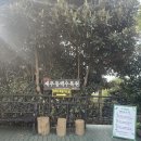 남원읍-68 | [아이와 나들이] 서귀포 제주동백수목원 아이들과 솔직후기!!