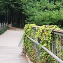 진흥아파트_서 이미지