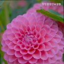 창인요양원 네이버블로그