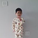 코코부엉이 이미지
