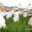 용전 이미지