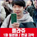 플라쥬 티스토리