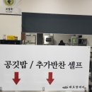 대포칼제비 이미지