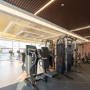 마스터 와이짐 이미지