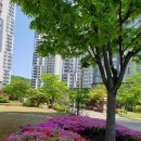 광교경남 공인중개사사무소 이미지