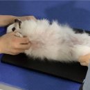 365동물병원위례점 이미지