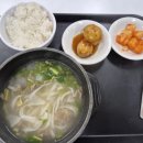 푸른솔식당 | 경희대학교 경희대 청운관 푸른솔 학식 학생식당 모음