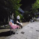 (주)다은네이처