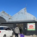 31140-6-74-8 | 인천 계양 35개월 36개월 42개월 아기랑 아이랑 실내 체험 산모퉁이딸기체험농원 내돈내산 솔직후기