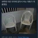 대학생이었던 내가 강원도 평창에선 첨단분야 혁신융합대학사업의 인재라고?🤥 (제 4회 CO-WEEK 참여 후기)