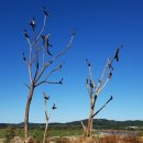 연천 호로고루 이미지