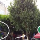 대우메디슨약국 이미지