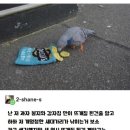 새 이미지
