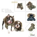 퍼피엔젤 이미지