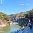 선돌교(하) | 철원 한탄강 주상절리길 시간 셔틀버스 잔도길 단풍