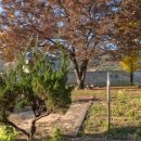 속초초 좌운분교장 이미지