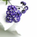 둔산한의원 이미지