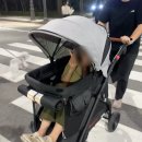 연두동물병원 | [내돈내산] 중형견 개모차 추천 2 - 아동용 웨건 겸용(레스떼)