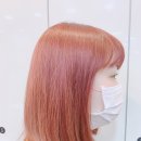 레드미컬헤어 이미지