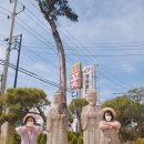 장암화원 이미지