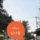 다대초교 입구 이미지