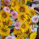 성성유치원(단설) 이미지