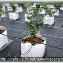 완성농장 이미지