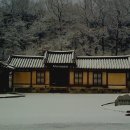 황우 Daum카페