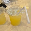 호텔스완(Hotel Swan) | 나트랑 여행 1일차 판랑 사막투어 르모어호텔 스파천국(MANGO SPA, SWAN SPA)
