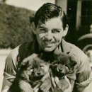 심심풀이 이미지