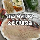 소린이네회 | 제주 올레시장가성비횟집 소린이네횟집 | 서귀포 모듬회 회포장 솔직 후기