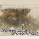명인메디칼 이미지