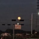 신미소 | 안성 즉석떡볶이맛집: 신미소 씨지비점 내돈내산 후기