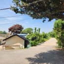 정승식당 이미지