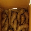 주미 농장 이미지