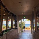 스테이야옹 고양이 호텔 | 일본 오키나와, 아메리칸 빌리지 런닝 &amp; Vista Club 커피숍