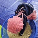 고촌어린이집 이미지