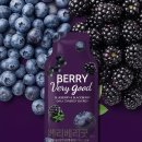 🍇 눈이 번쩍! 몸이 가뿐! 유기농 켈리베리 블랙+블루베리 솔직 후기