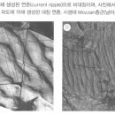 124-1 이미지