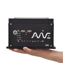 금보유전자 이미지