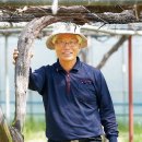 대가포도농원 이미지