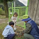 봉오초병설유치원 이미지