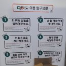모할고양 이미지