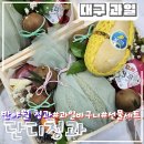 대구 동구 반야월 과일바구니 과일선물세트 전문점 배달 가능한 신기동 과일맛집 단디청과