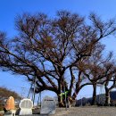 삼웅2리 마을회관 이미지