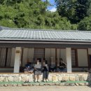 소금제 | [강릉촌캉스] 반려동물동반 가능 숙소 소금제 8월 후기/주차/계곡/꿀팁